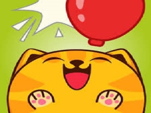 puffy cat
